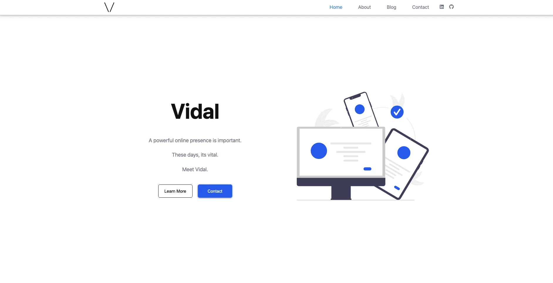 Vidal developers landing page